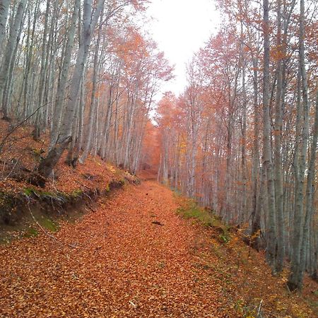 Apartamentos Turisticos Real Valle Ezcaray Zorraquin Екстер'єр фото